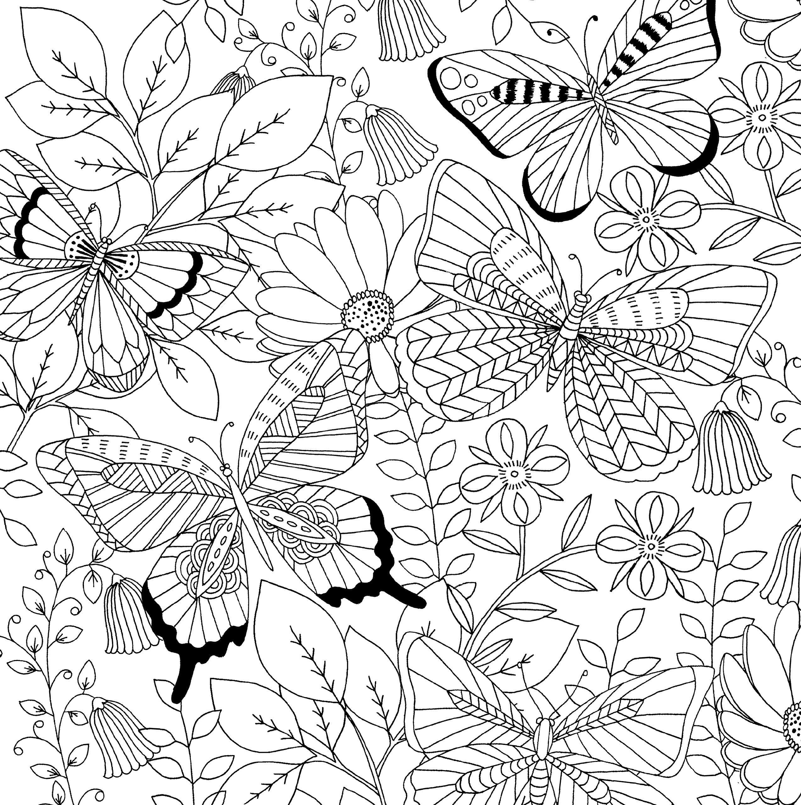 Follow Your Dreams Adult Coloring Book