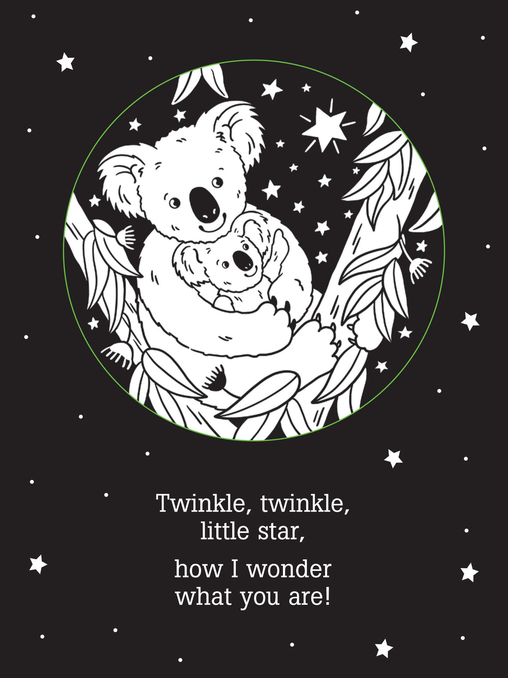 Twinkle Twinkle Little Star Shadow Book