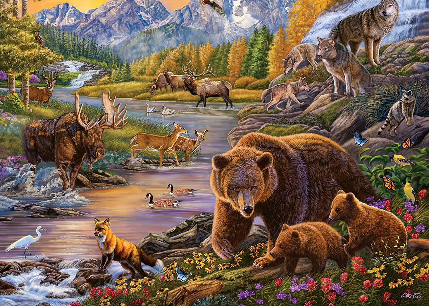 500 Piece Puzzle Large Format Wilderness