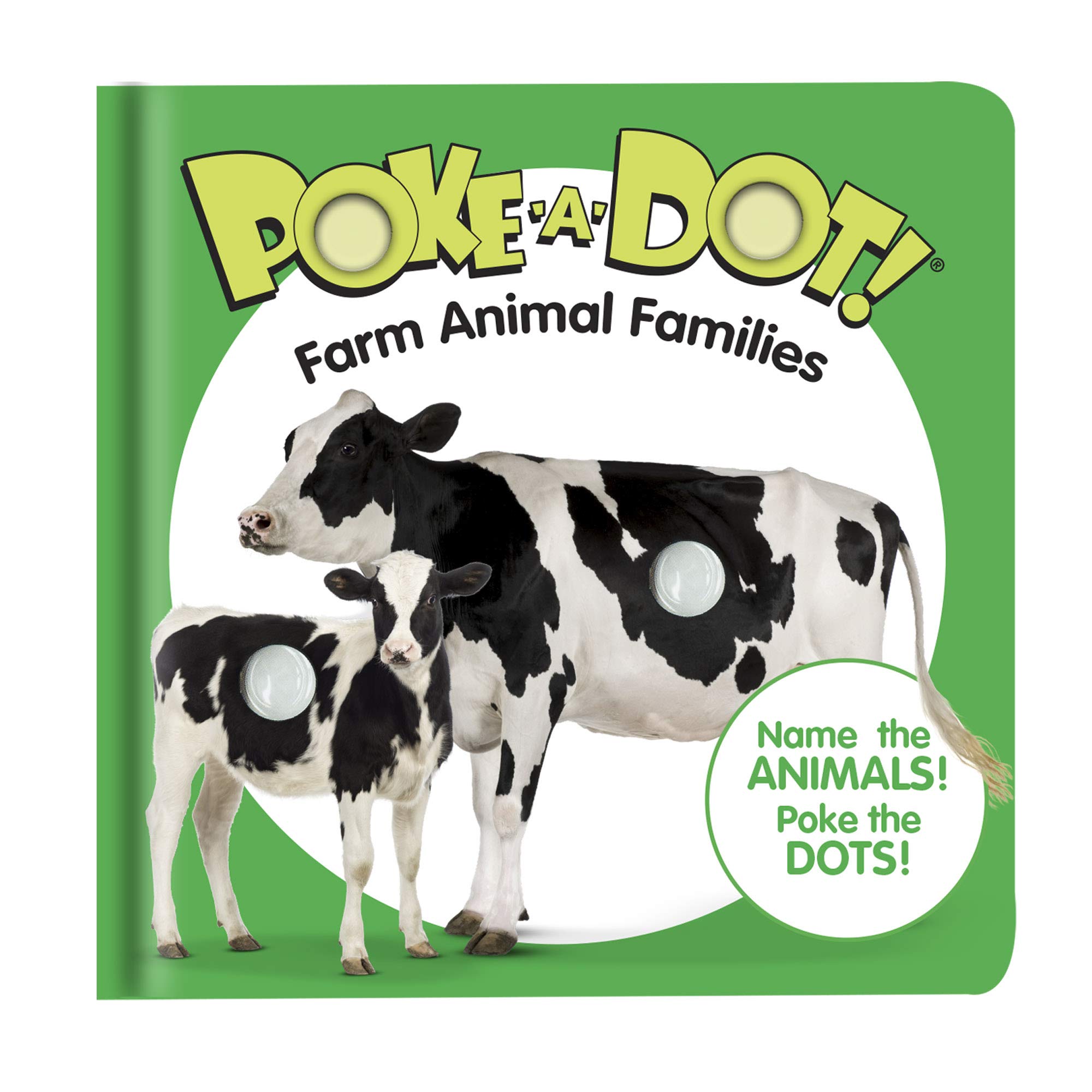 Small Poke A Dot: Farm Animal Families