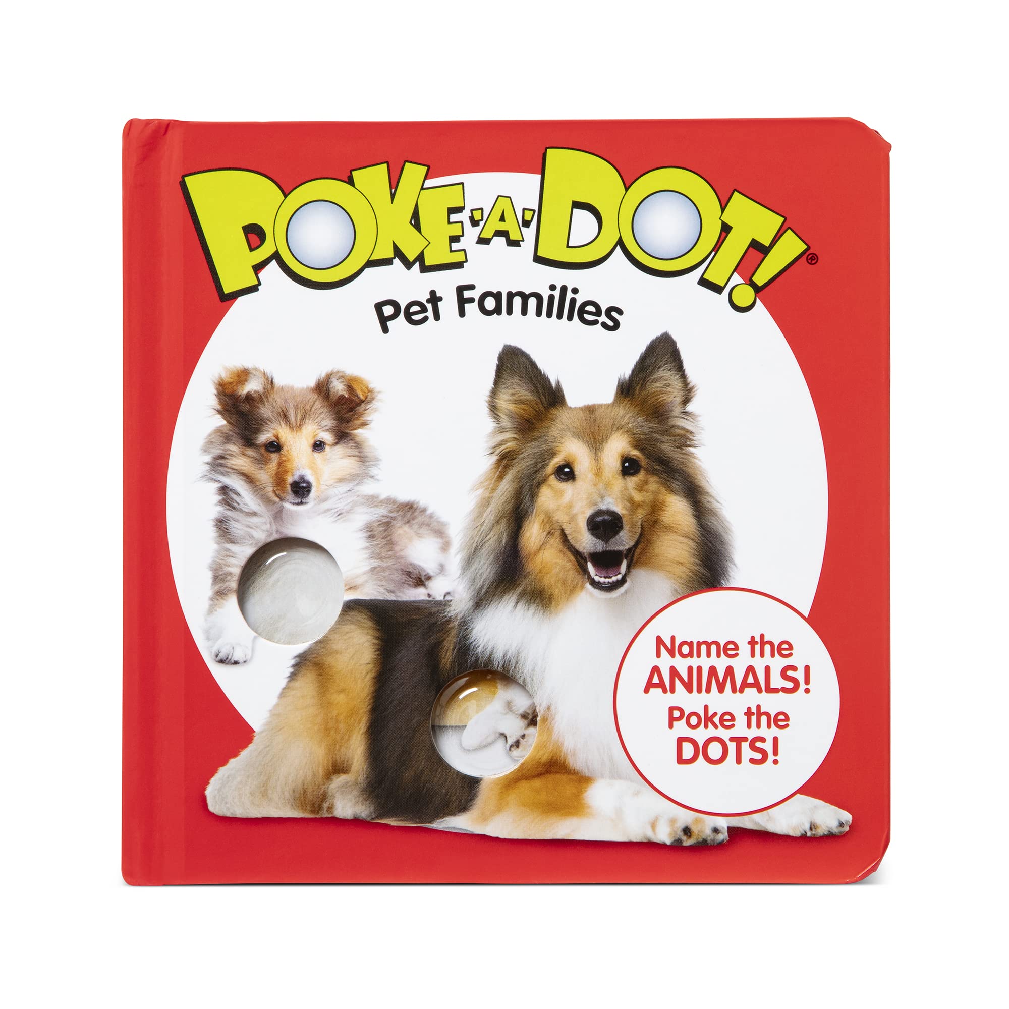 Small Poke A Dot: Pet Families