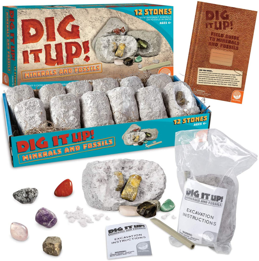 DIU Minerals And Fossils