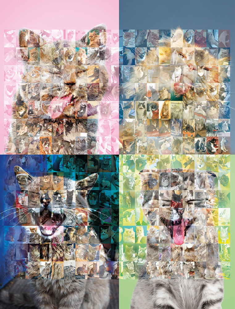 Sticker Photo Mosaic - Cats & Kittens