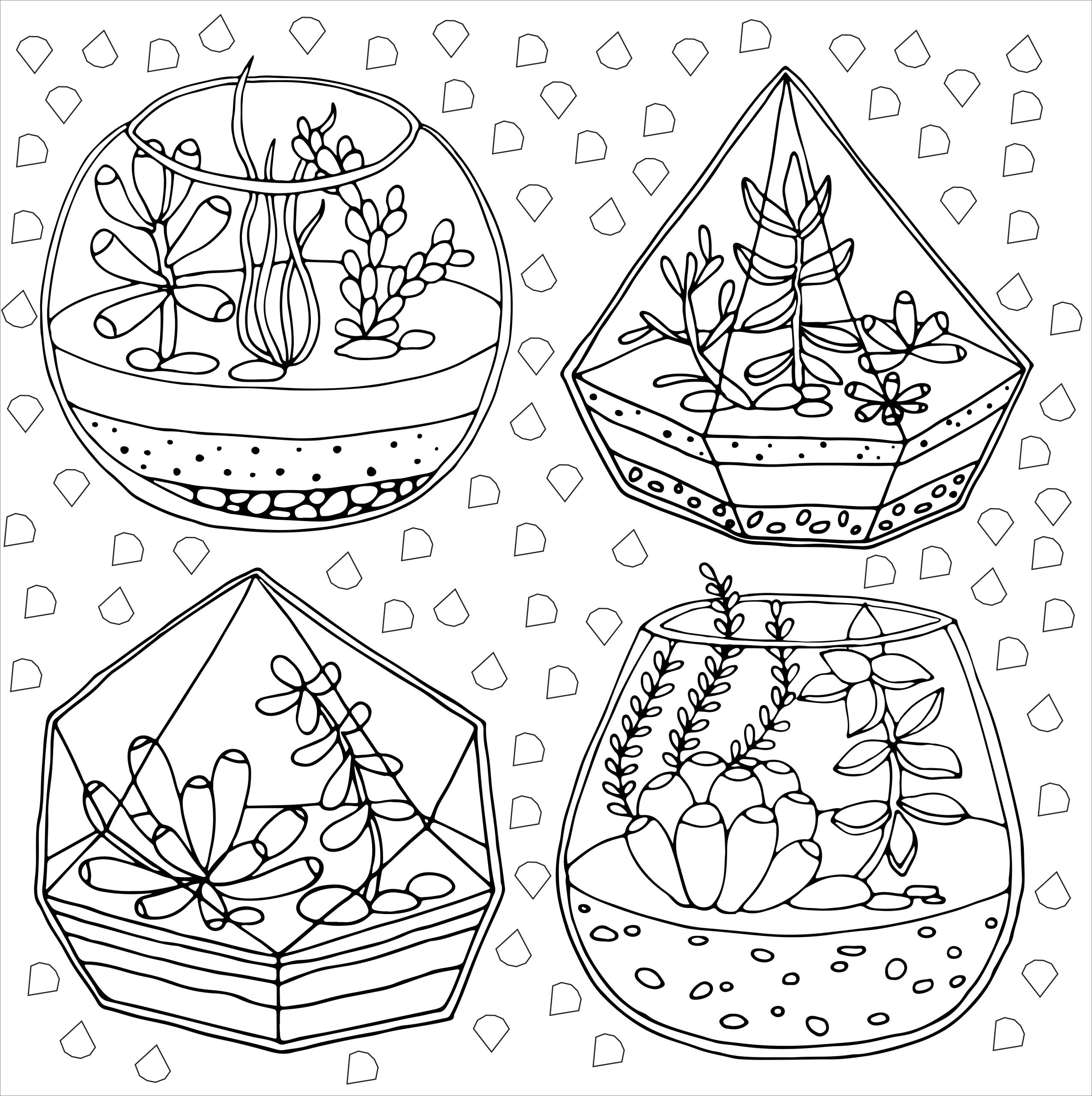 Succulents Adult Coloring Book