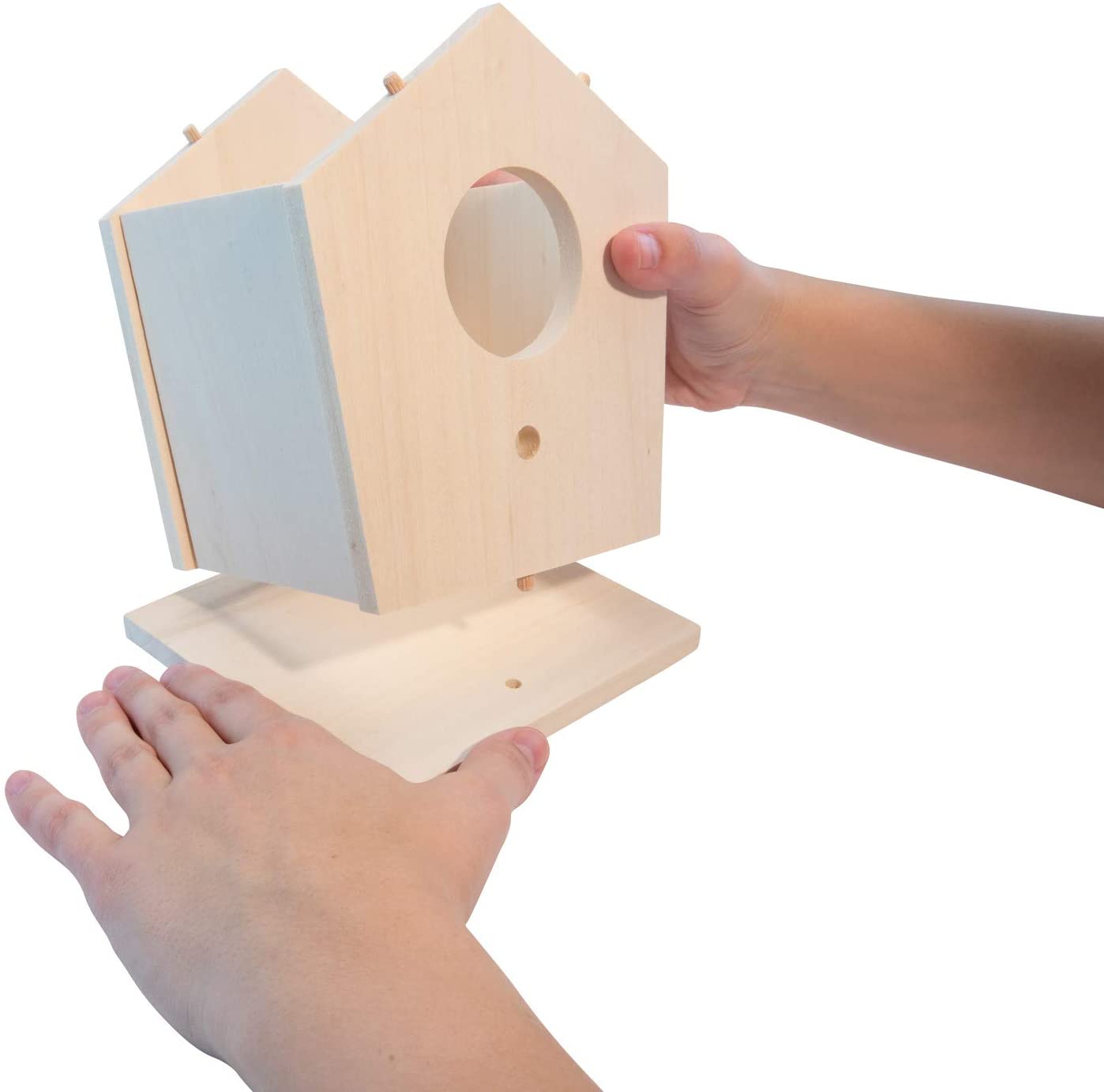 MYO: Bird House Kit