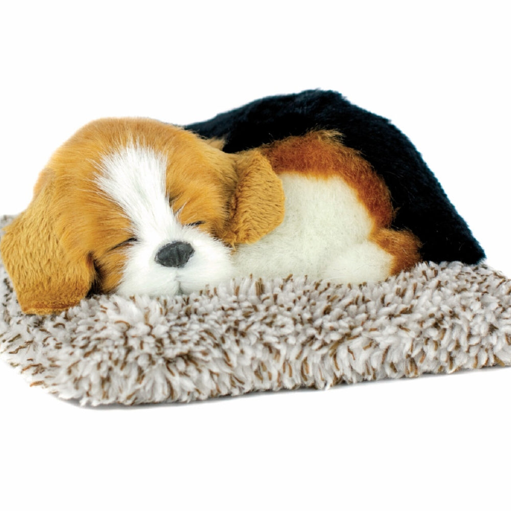 Mini Beagle