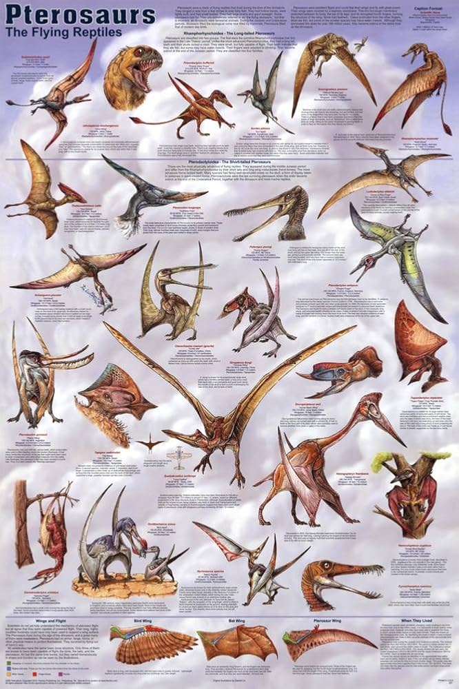Pterosaurs Poster