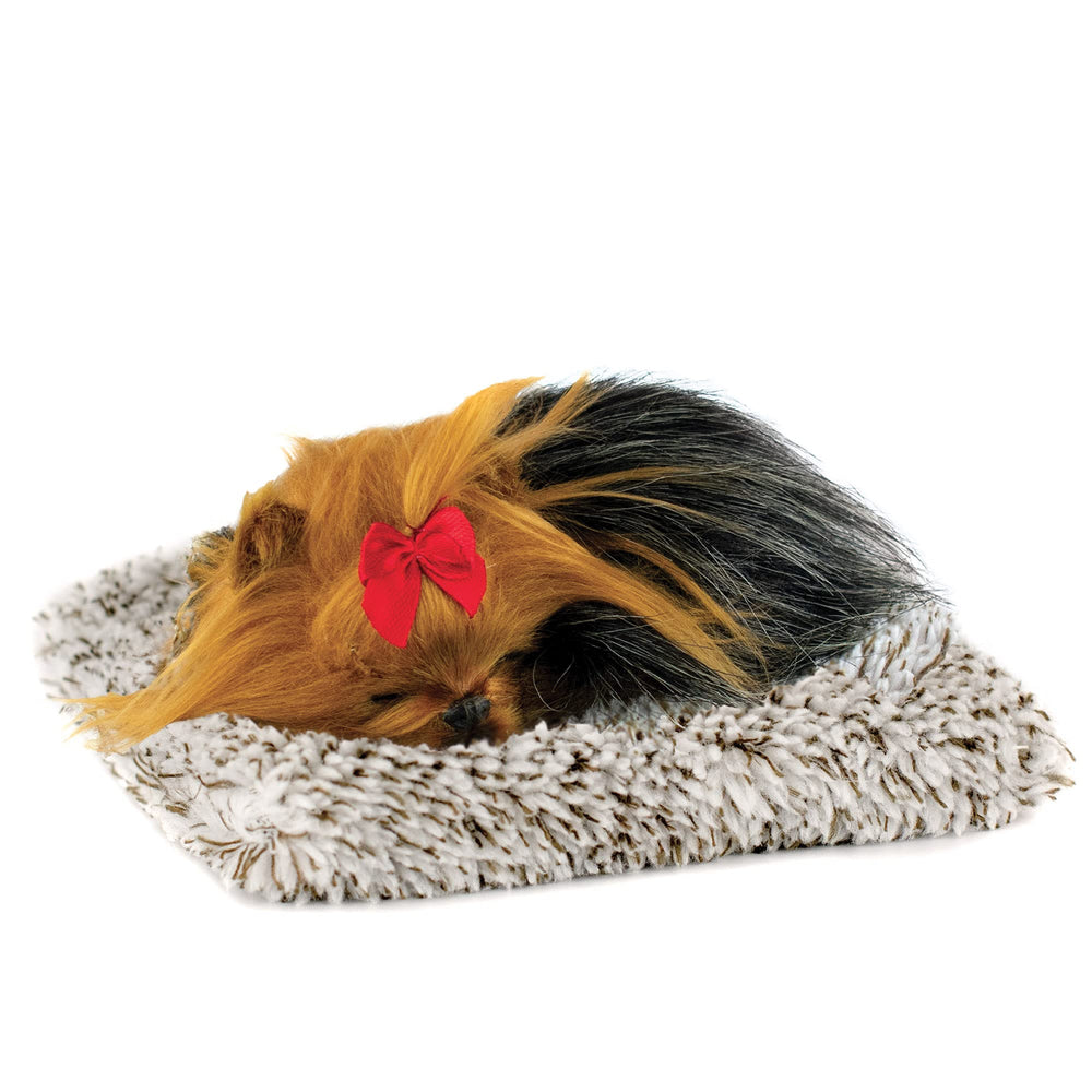 Mini Perfect Pet Yorkie
