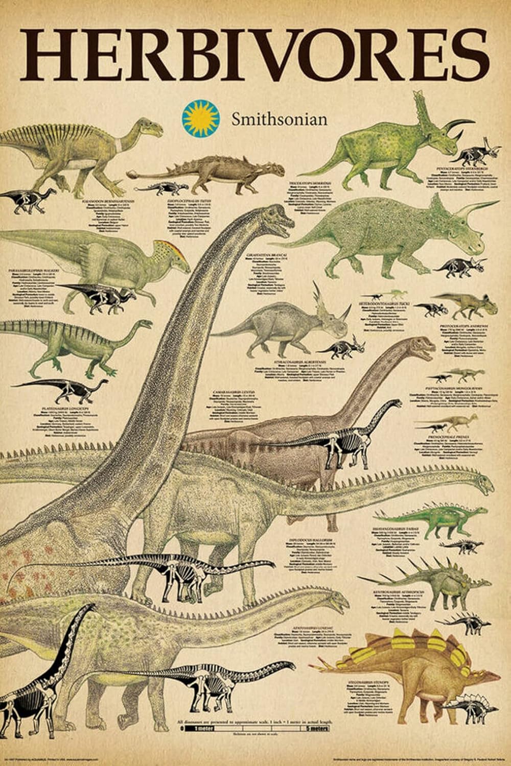 Herbivore Dinosaurs Poster