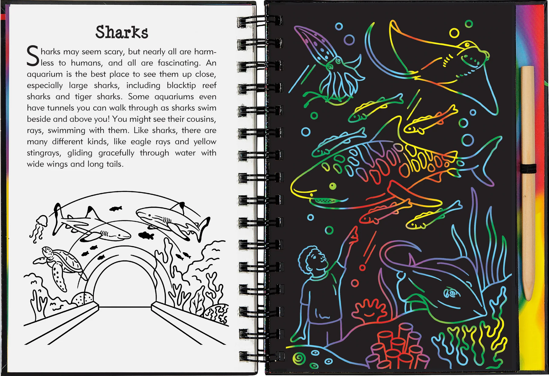Scratch & Sketch At The Aquarium