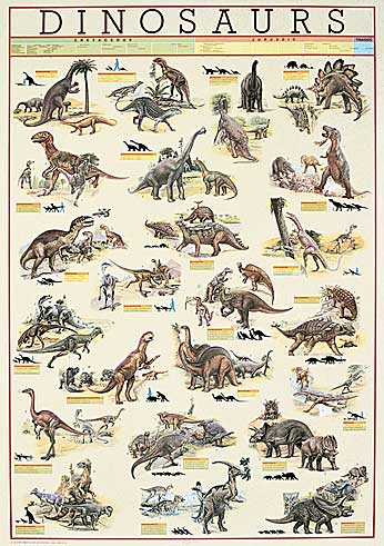 Carnivorous Dinosaurs Poster