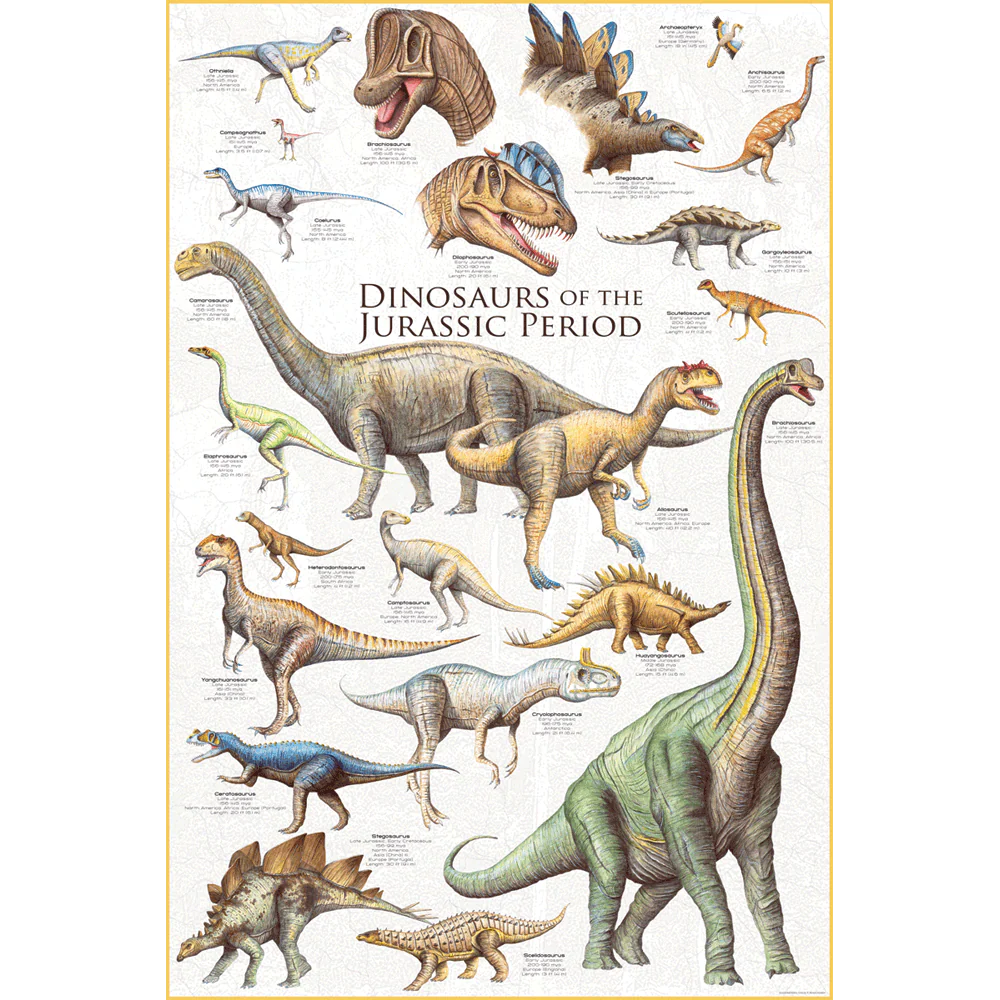 Dinosaurs Of The Jurassic Period Poster