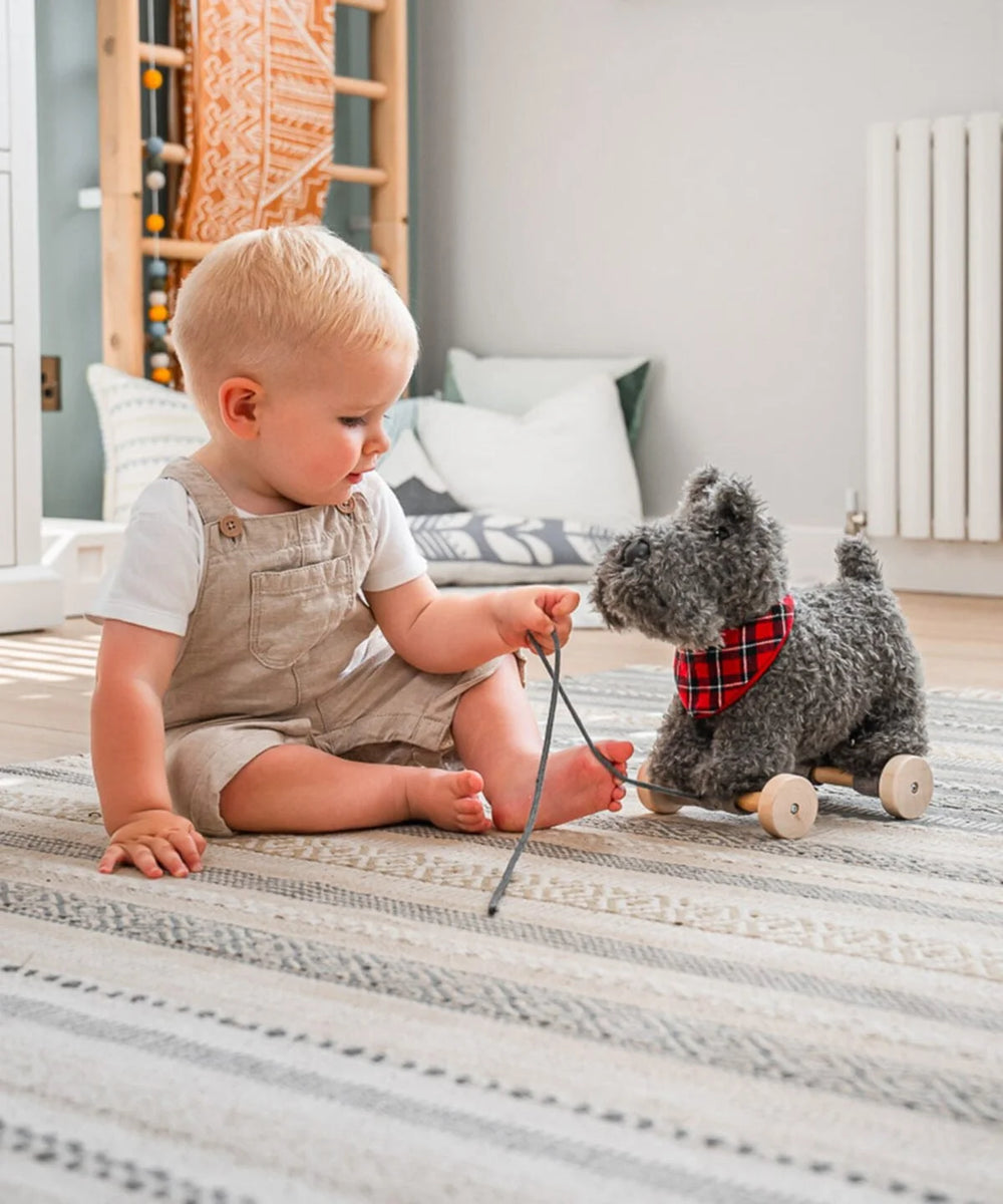 Scottie Dog Pull Alo