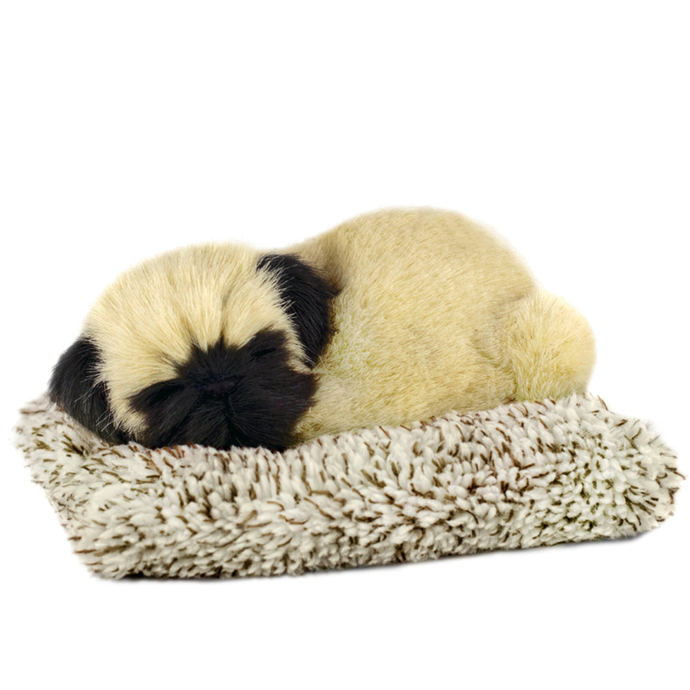 Mini Pug