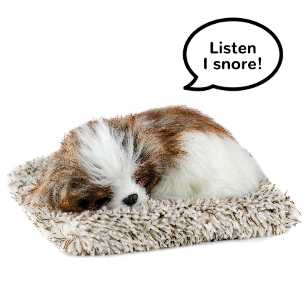 Mini Perfect Pet Shih Tzu