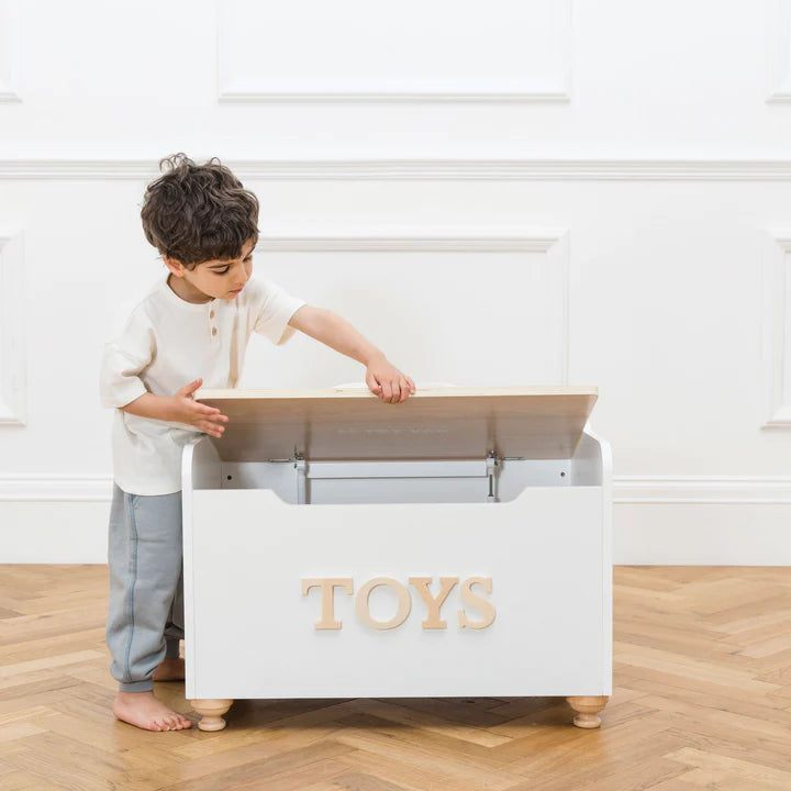 Toy Storage Box