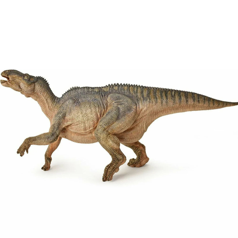 Iguanodon