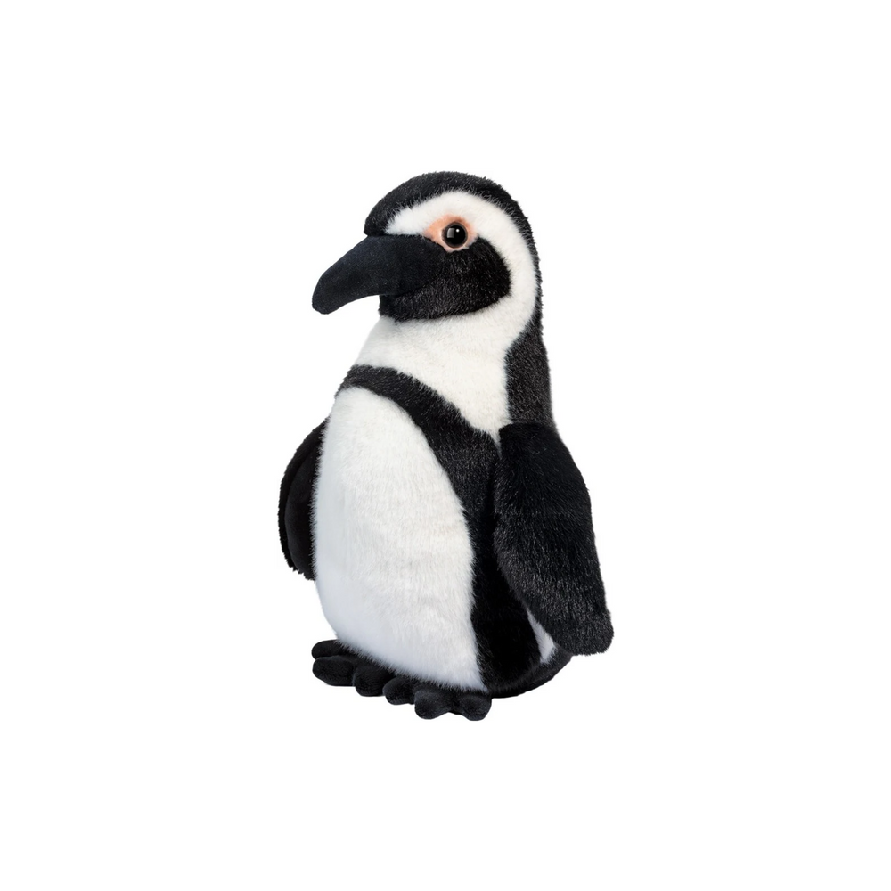 Zuri African Penguin