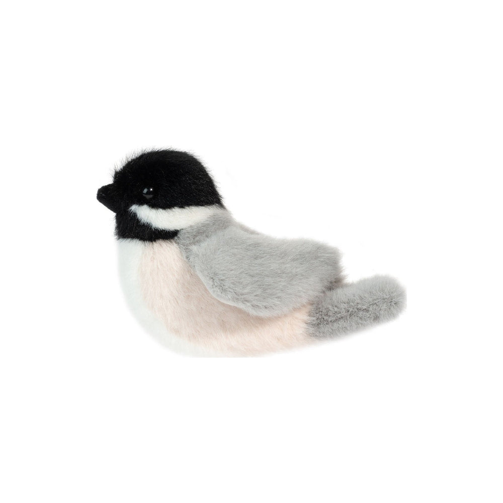 Chipper Chickadee