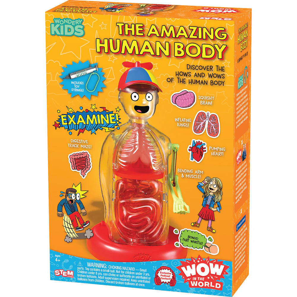 The Amazing Human Body Witw