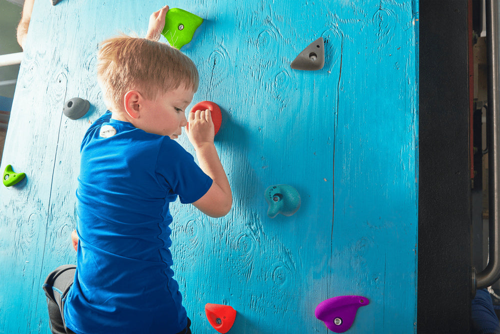 Rock Climbing Holds Kit