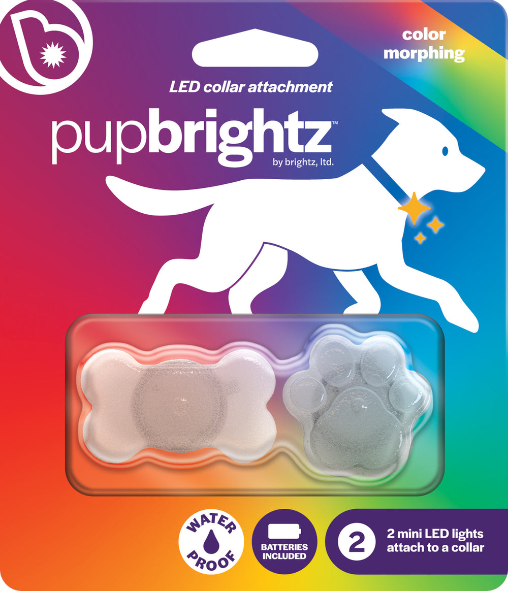 Pupbrightz Color Morphing Collar Charms, 2pk