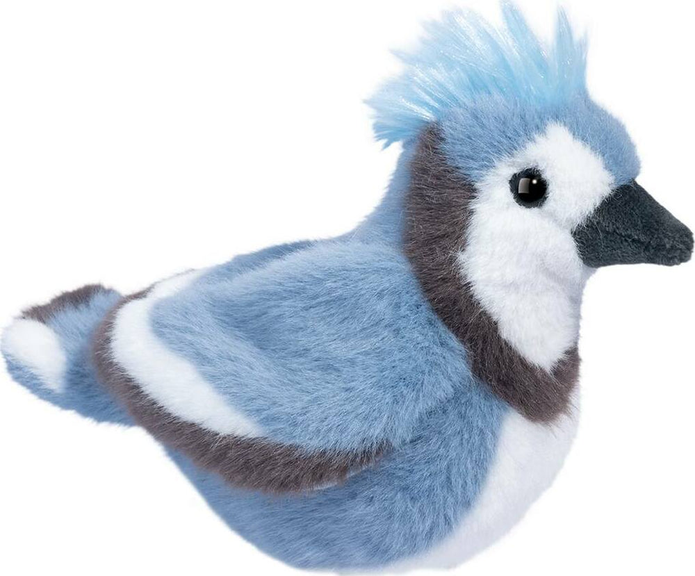Denim Blue Jay