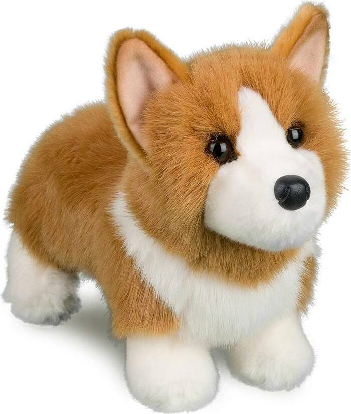 Louie Corgi