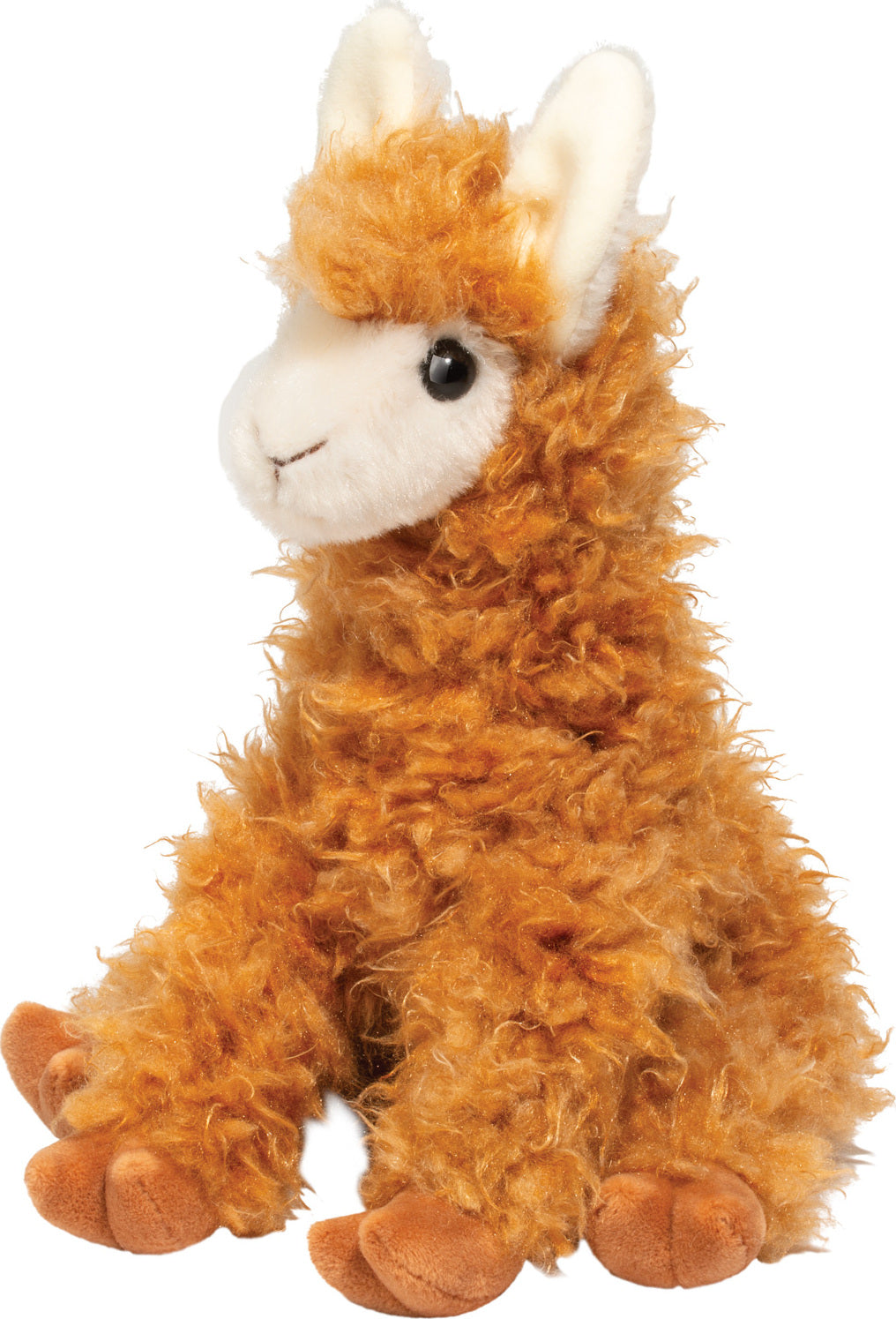 Logan Llama