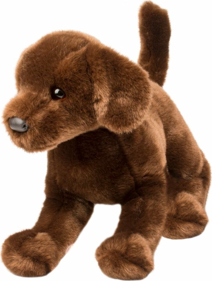 Cocoa Chocolate Lab