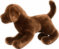 Cocoa Chocolate Lab