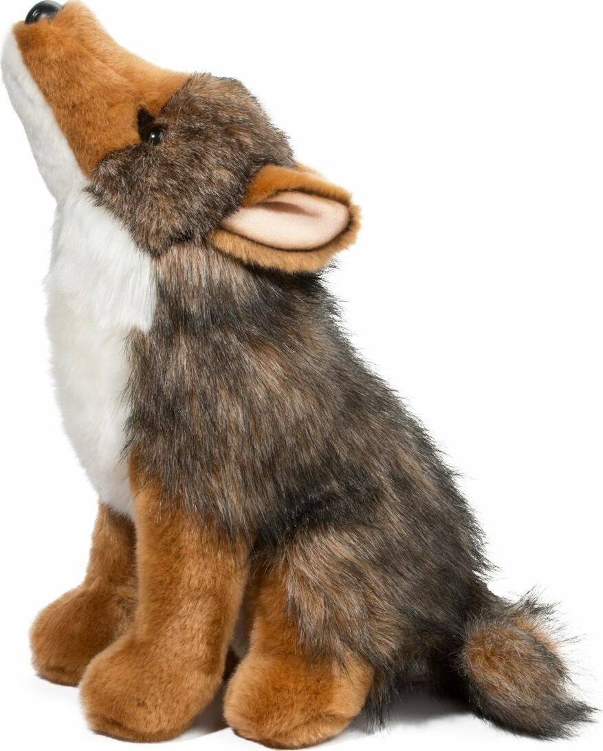 Rambler Coyote