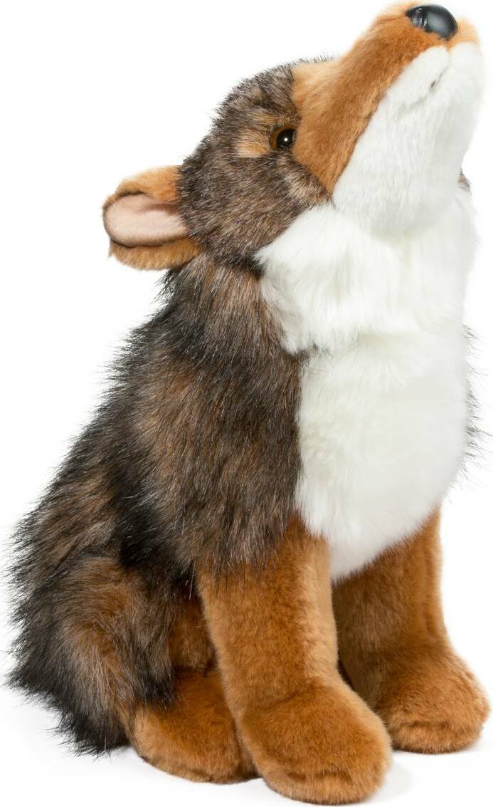 Rambler Coyote