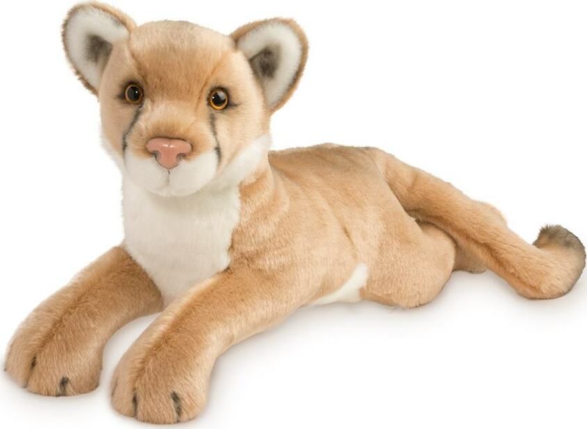 Kelso Mountain Lion