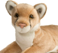 Kelso Mountain Lion