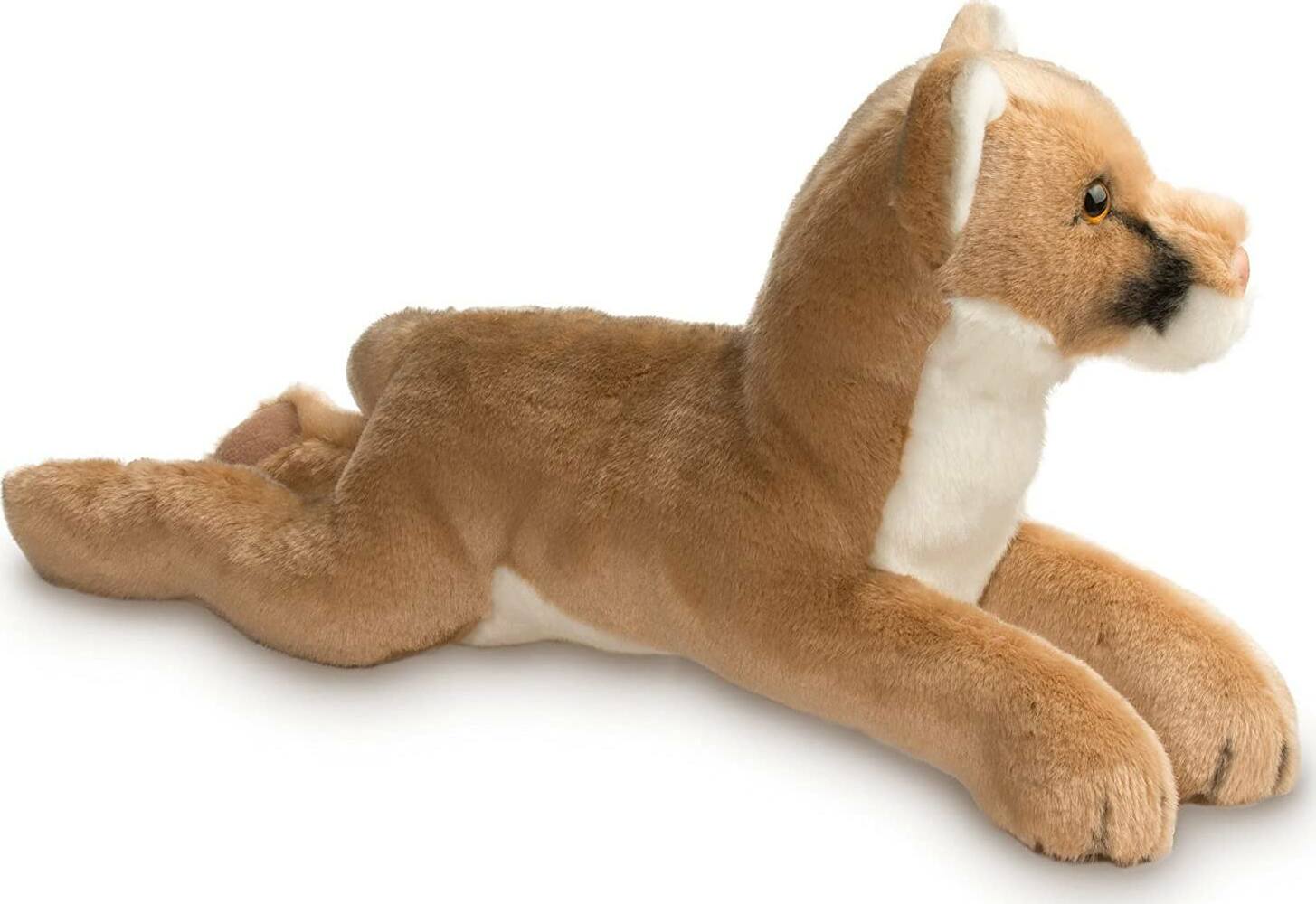 Kelso Mountain Lion