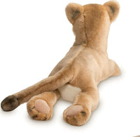 Kelso Mountain Lion