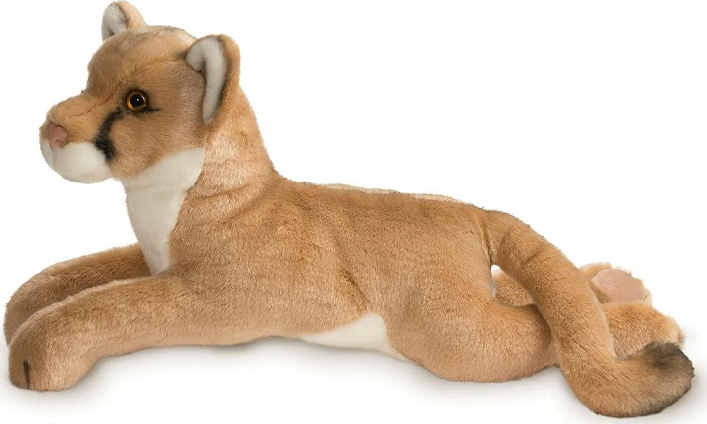 Kelso Mountain Lion