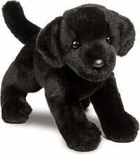 Brewster Black Lab