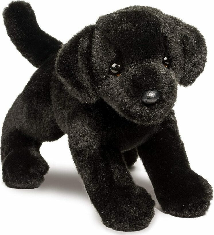 Brewster Black Lab