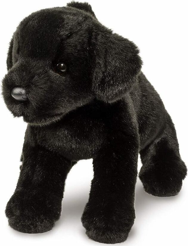 Brewster Black Lab