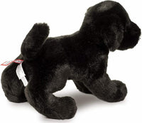 Brewster Black Lab