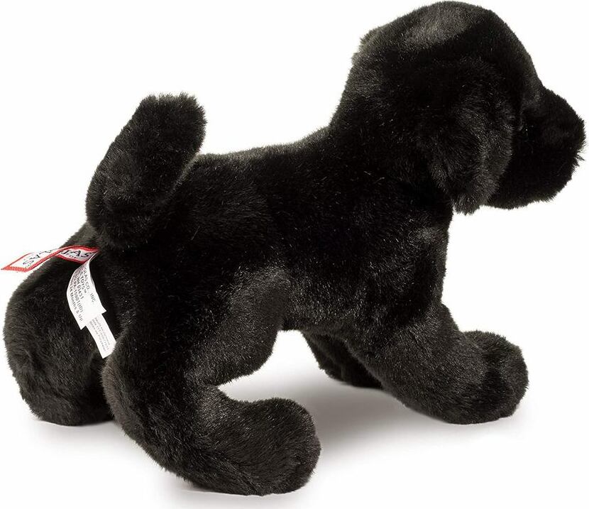 Brewster Black Lab