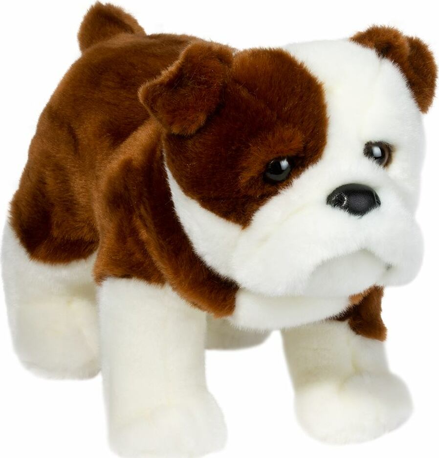 Hardy Bulldog