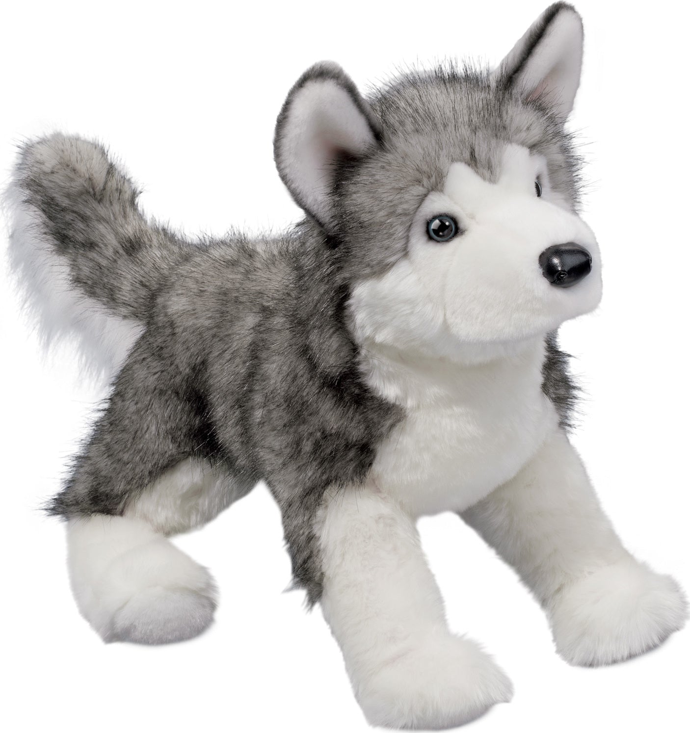 Lobo DLux Husky