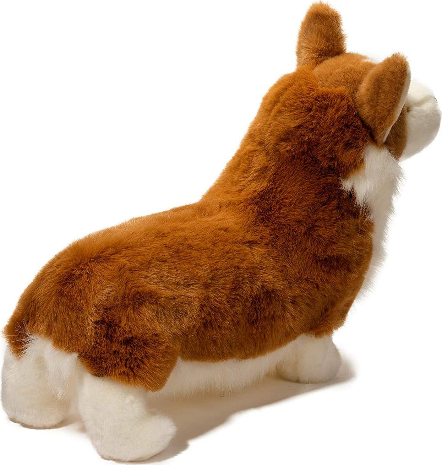 Chadwick Corgi