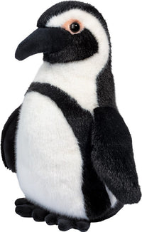 Zuri African Penguin