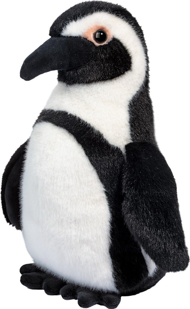 Zuri African Penguin