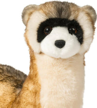 Vince Black Footed Ferret