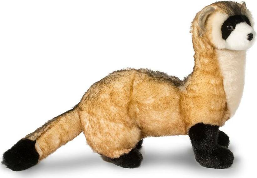 Vince Black Footed Ferret